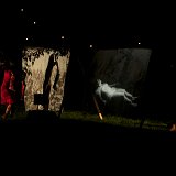 Zur Angers2011-109020